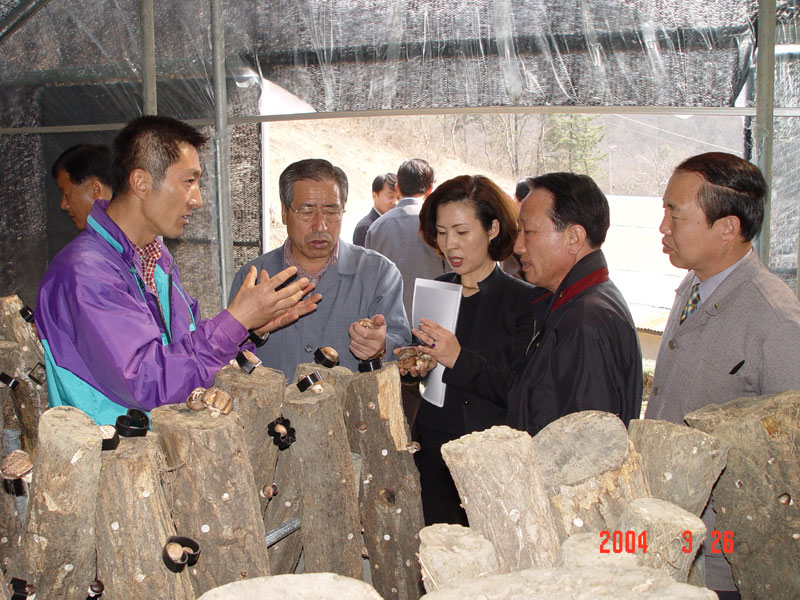 삼박골 표고버섯 농장