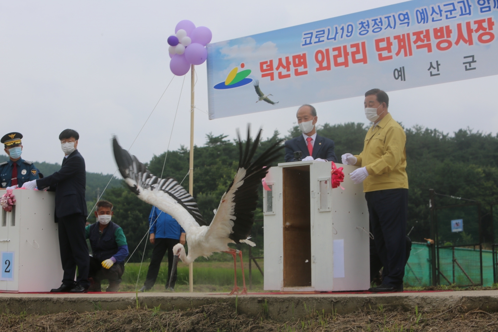 덕산면 황새자연방사 행사