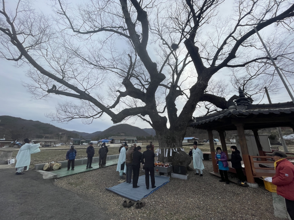 2024년 광시면 대리 당산제 참석