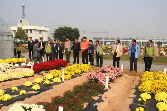 국화시험장 방문