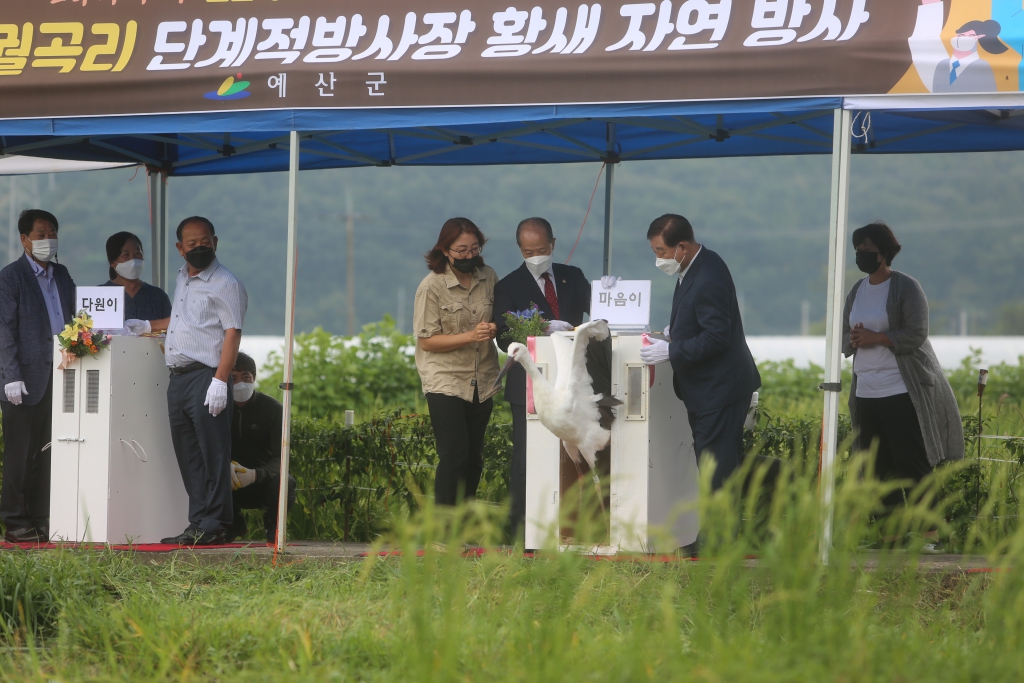 궐곡리 황새 자연방사 행사