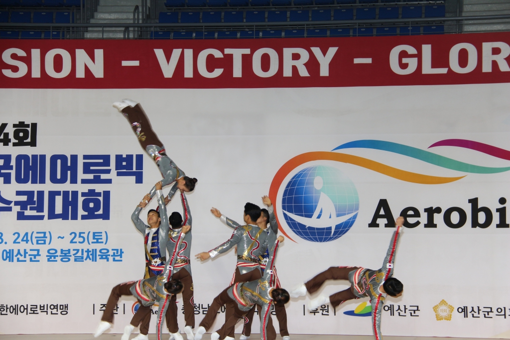 제24회 전국에어로빅 선수권대회